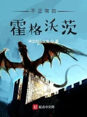 《不正常的霍格沃茨》小说封面