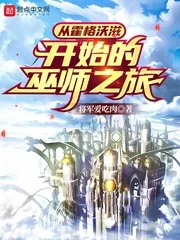 《从霍格沃滋开始的巫师之旅》小说封面