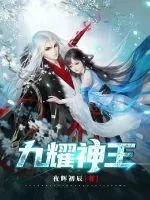 《九耀神王》小说封面