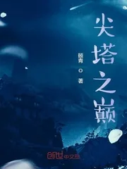 《尖塔之巅》小说封面