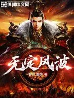 《无定风波》小说封面