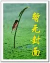 《大道争锋》小说封面