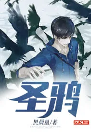 《圣鸦》小说封面