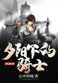 《夕阳下的骑士》小说封面