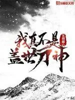 《我真不是盖世刀神》小说封面