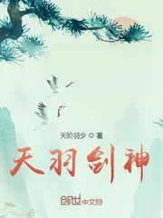 《天羽剑神》小说封面