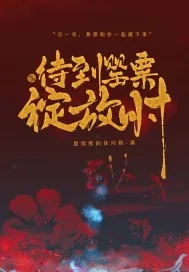 《待到罂粟绽放时》小说封面