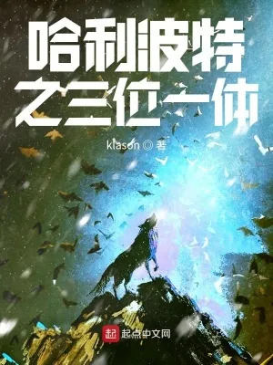 《哈利波特之三位一体》小说封面