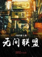 《无间联盟》小说封面
