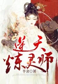 《逆天炼灵师》小说封面