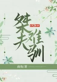 《桀夫难驯》小说封面