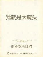 《魔帝神君》小说封面