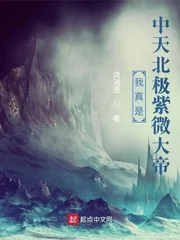 《我真是中天北极紫微大帝》小说封面