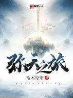 《弥天之旅》小说封面