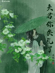 《夫君你失礼了》小说封面
