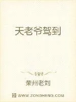 《天老爷驾到》小说封面