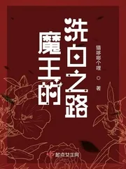 《魔王的洗白之路》小说封面