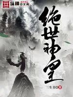 《绝世神皇》小说封面