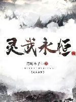 《灵武永恒》小说封面