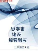 《当宇宙诸天都要毁灭》小说封面