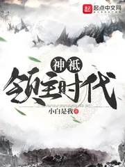 《神祇领主时代》小说封面
