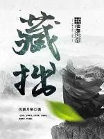 《藏拙》小说封面