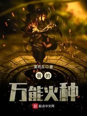 《我的万能火种》小说封面