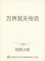 《万界昊天传说》小说封面