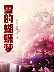 《雪的蝴蝶梦》小说封面