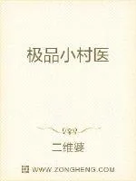 《极品小圣医》小说封面