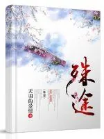 《殊途ST》小说封面