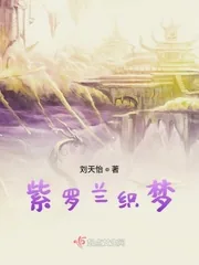 《紫罗兰织梦》小说封面