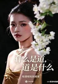 《什么是道，道是什么》小说封面