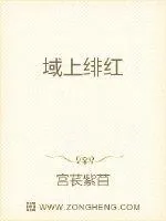 《域上绯红》小说封面