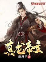 《真龙帝主》小说封面