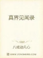 《真界见闻录》小说封面