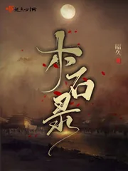 《木石录》小说封面