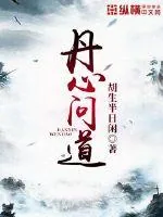 《丹心问道》小说封面