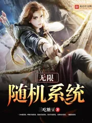 《无限随机系统》小说封面
