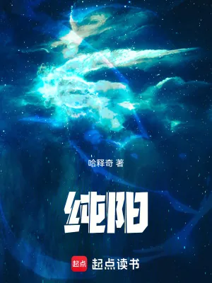《纯阳！》小说封面