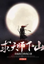 《求天师下山》小说封面