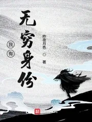 《我有无穷身份》小说封面