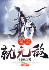《氪金就无敌》小说封面