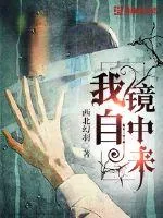 《我自镜中来》小说封面