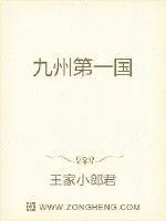 《九州第一国》小说封面
