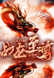 《战龙至尊》小说封面