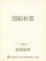 《剑起长夜》小说封面