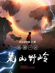《捡到一片荒山野岭》小说封面