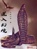 《道入幻境》小说封面
