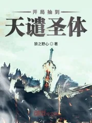 《开局抽到天谴圣体》小说封面